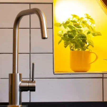 La Grange De Madeleine Eguisheim