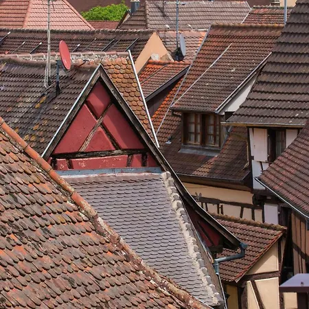 Apartment La Grange De Madeleine Eguisheim